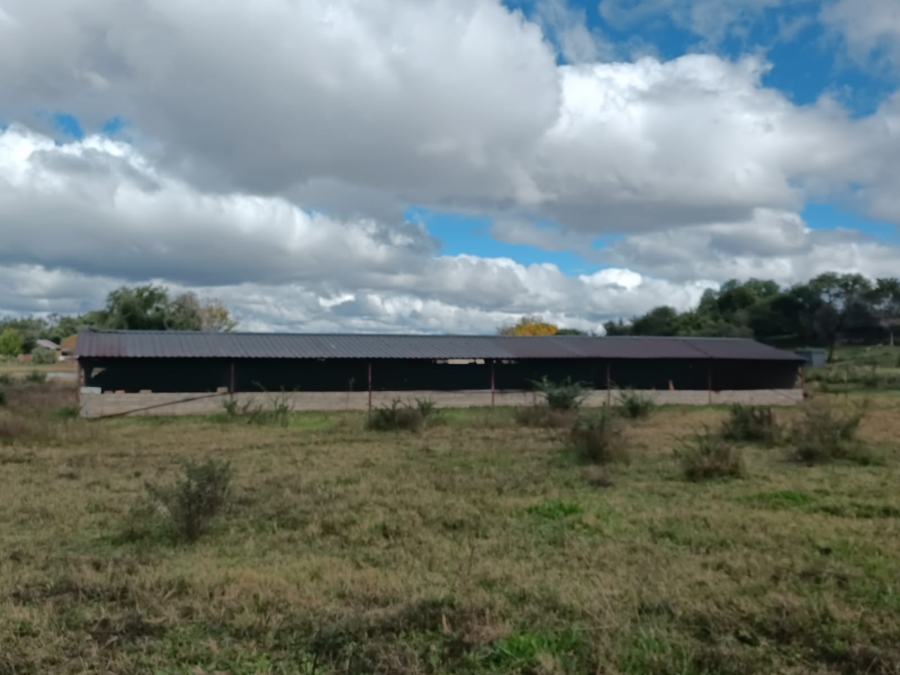 3 Bedroom Property for Sale in Koppies Free State